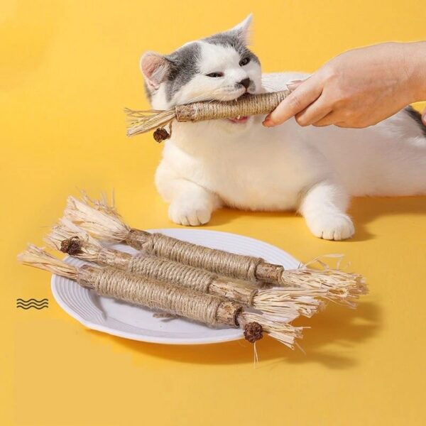 Cat Toys Silvervine Chew Stick Polygonum Kitty Raffia Grass