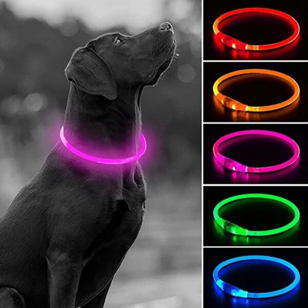 Led Usb Dog Collar Pet Dog Night Luminous Charge Collar Led Night Safety